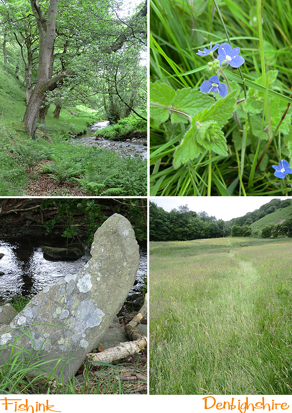 Fishinkblog 6104 Fishink in Denbighshire 3