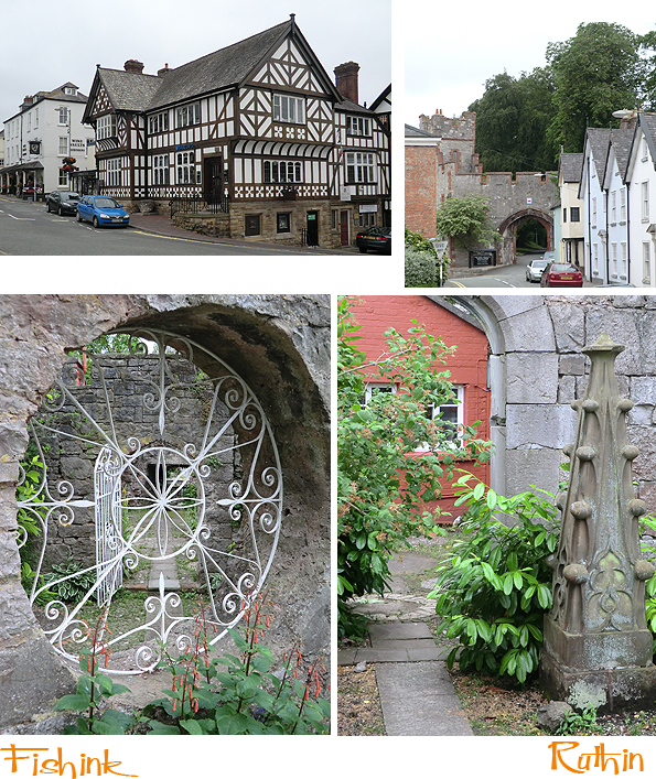 Fishinkblog 6107 Fishink in Denbighshire 6