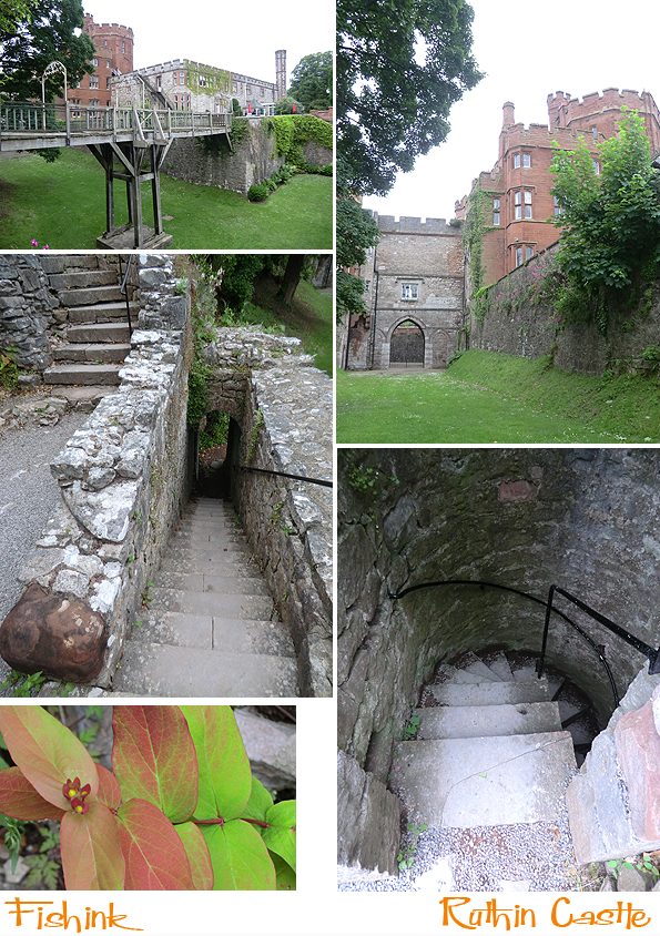 Fishinkblog 6109 Fishink in Denbighshire 8