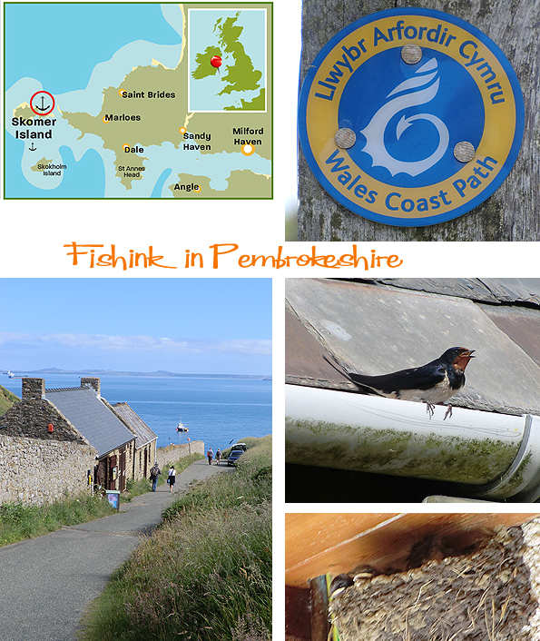 Fishinkblog 6202 Pembrokeshire 2