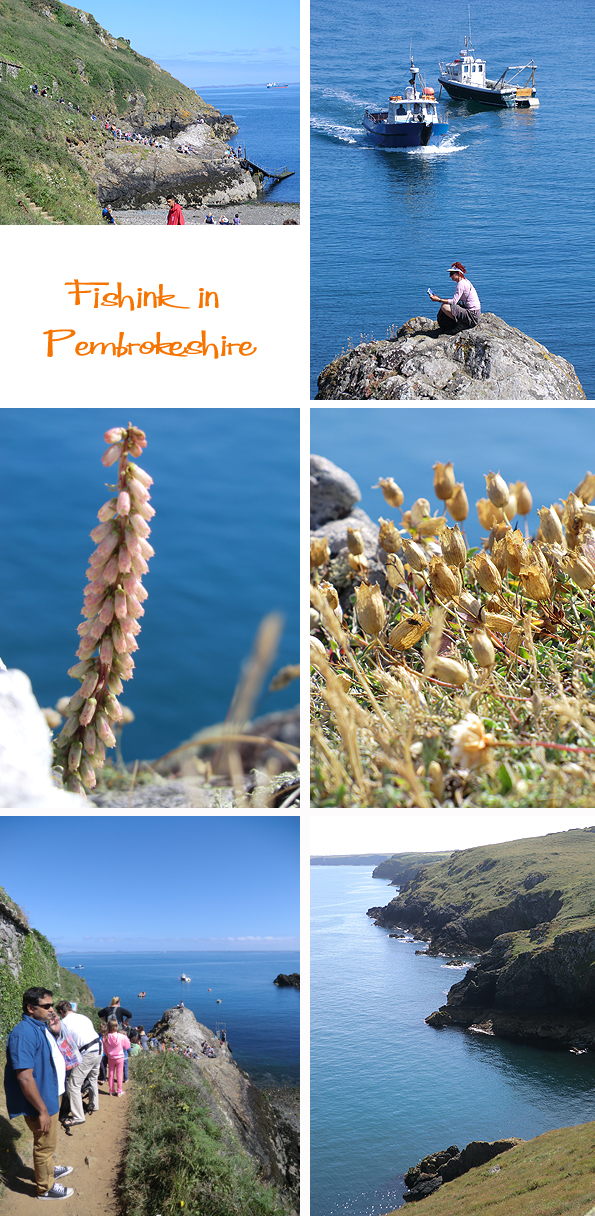 Fishinkblog 6205 Pembrokeshire 5