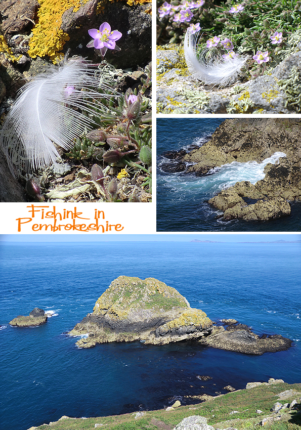 Fishinkblog 6210 Pembrokeshire 10