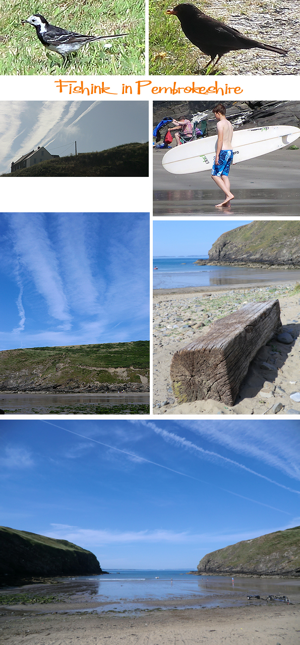 Fishinkblog 6216 Pembrokeshire 16