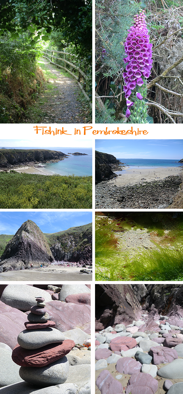 Fishinkblog 6218 Pembrokeshire 18