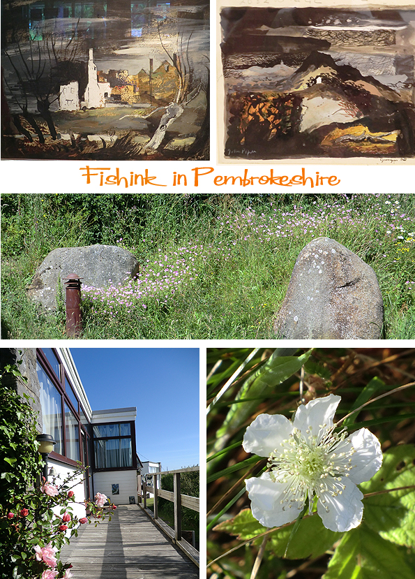 Fishinkblog 6223 Pembrokeshire 23