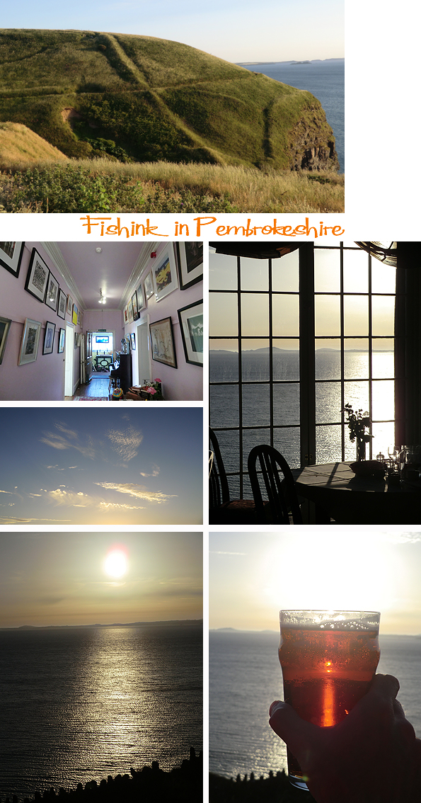 Fishinkblog 6224 Pembrokeshire 24