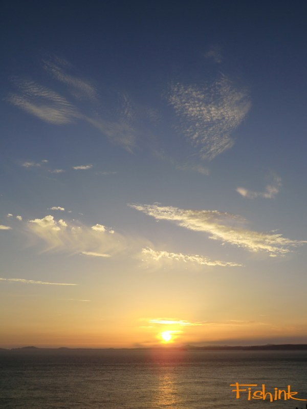 Fishinkblog 6225 Pembrokeshire 25