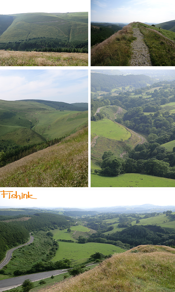 Fishinkblog 6226 Pembrokeshire 26