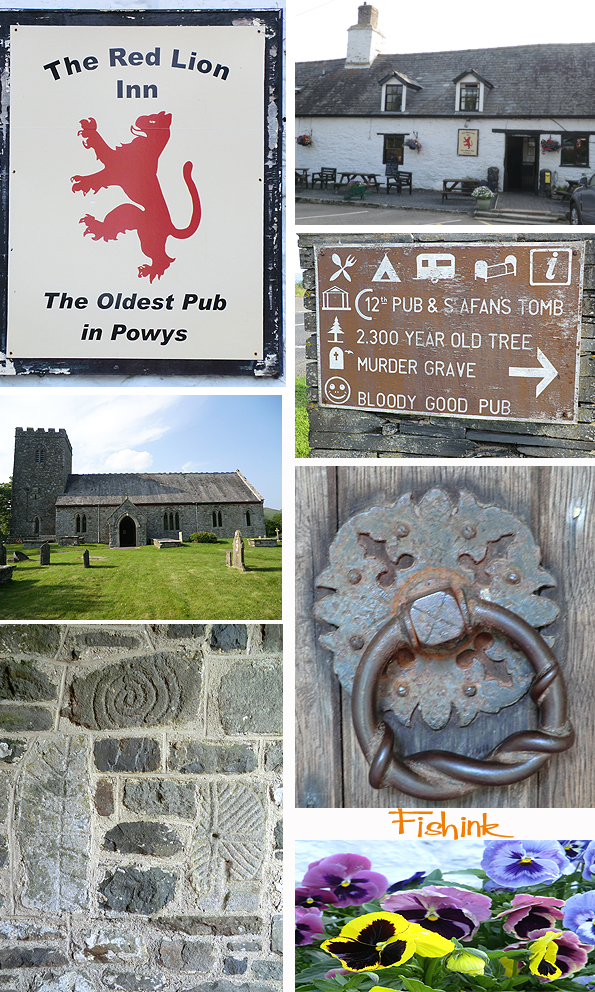 Fishinkblog 6227 Pembrokeshire 27