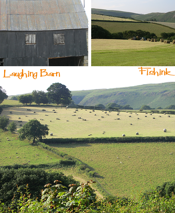 Fishinkblog 6228 Pembrokeshire 28