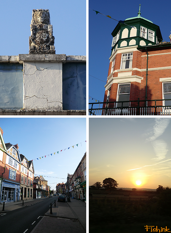 Fishinkblog 6230 Pembrokeshire 30