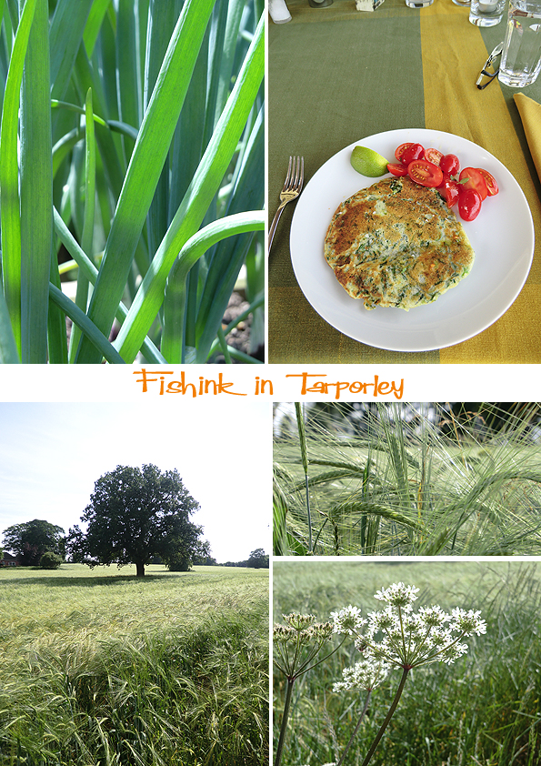 Fishinkblog 6234 Tarporley 2