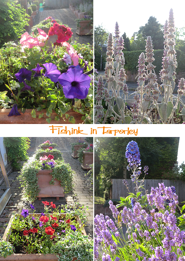 Fishinkblog 6237 Tarporley 5