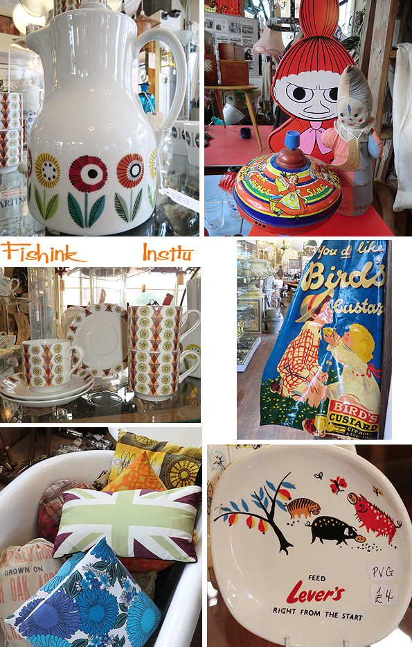 Fishinkblog 6528 Insitu 2