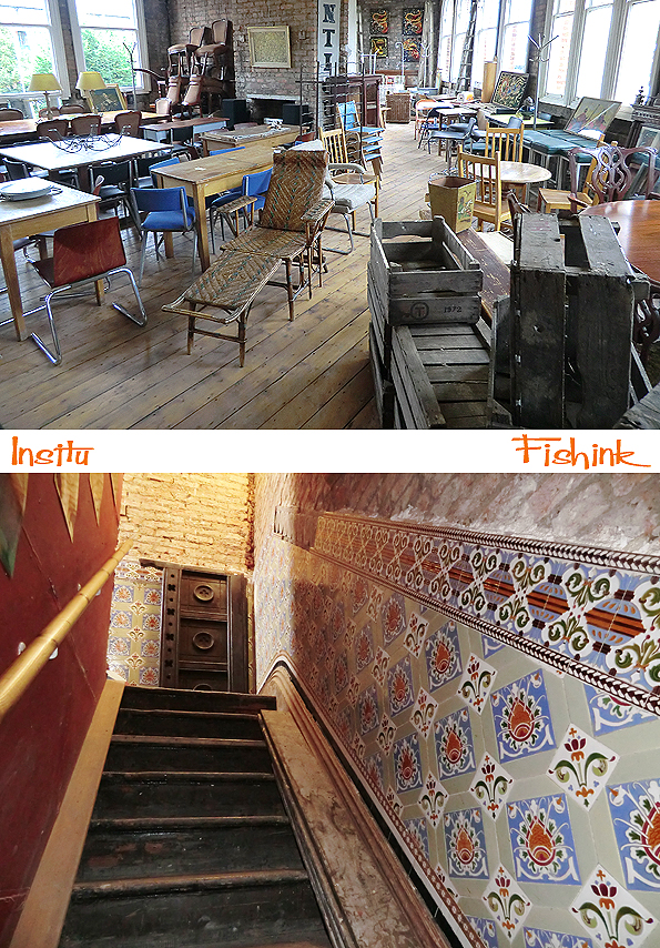 Fishinkblog 6532 Insitu 6