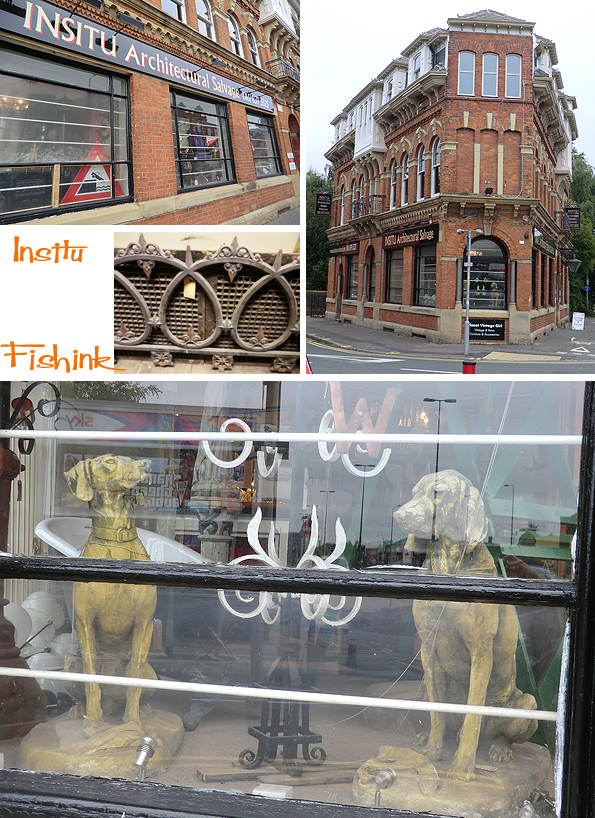 Fishinkblog 6537 Insitu 13