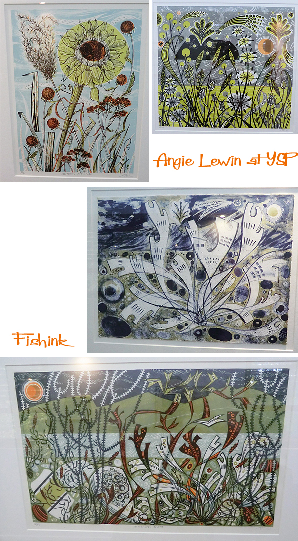 Fishinkblog 6825 Angie Lewin at YSP 4