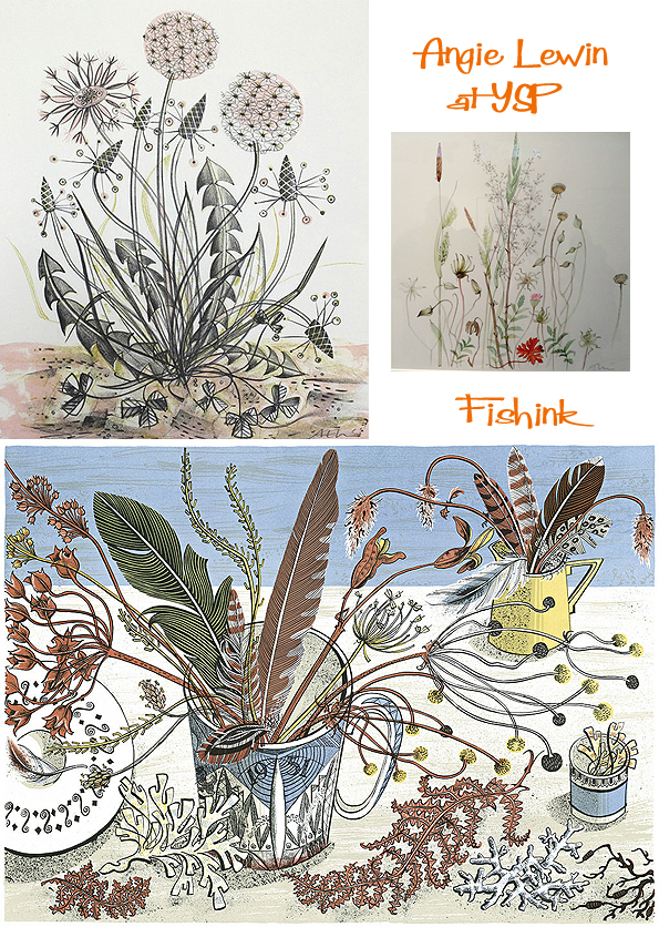 Fishinkblog 6830 Angie Lewin at YSP 9