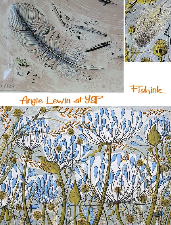 Fishinkblog 6832 Angie Lewin at YSP 11