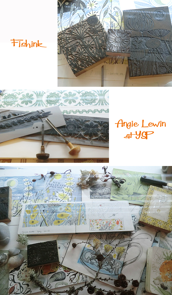 Fishinkblog 6836 Angie Lewin at YSP 15