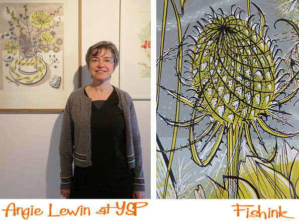 Fishinkblog 6837 Angie Lewin at YSP 16