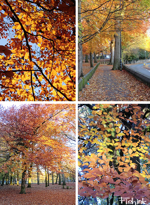 Fishinkblog 6851 Fishink Autumn 3