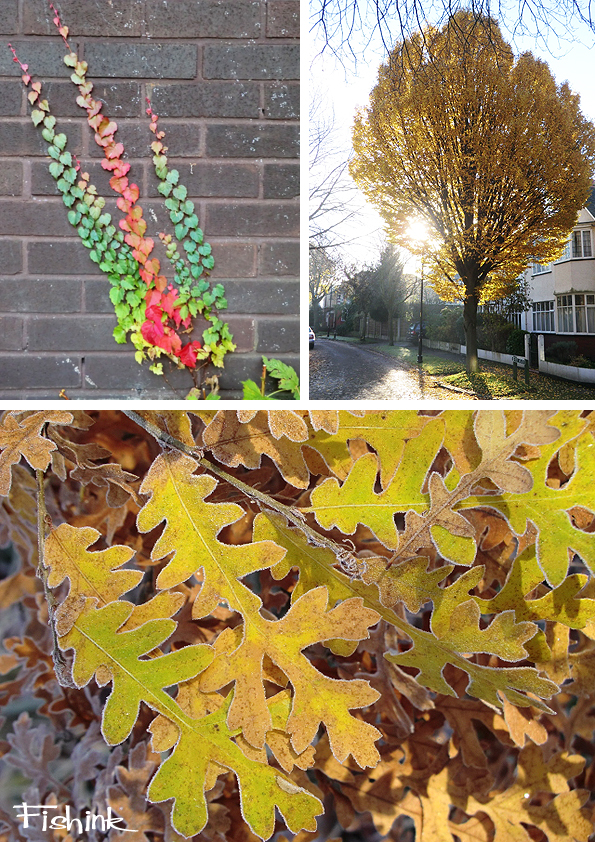 Fishinkblog 6853 Fishink Autumn 5