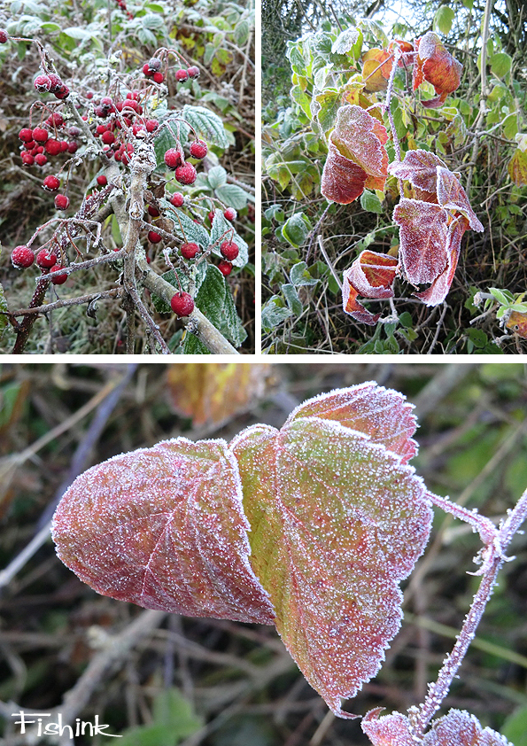 Fishinkblog 6855 Fishink Autumn 7