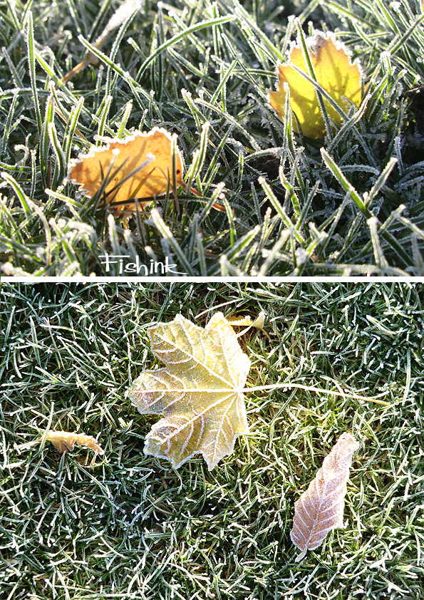 Fishinkblog 6856 Fishink Autumn 8