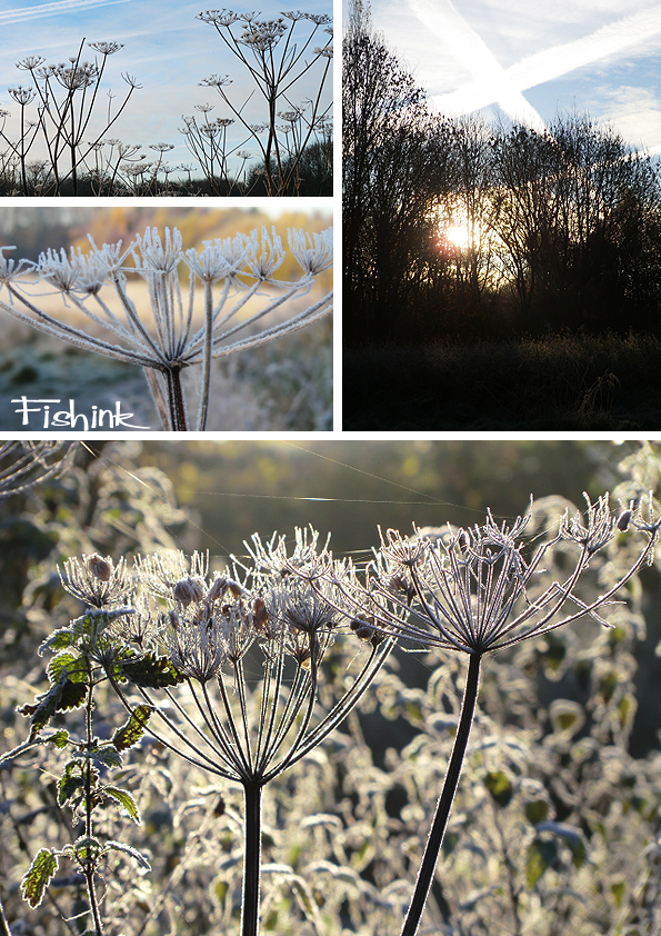 Fishinkblog 6858 Fishink Autumn 10