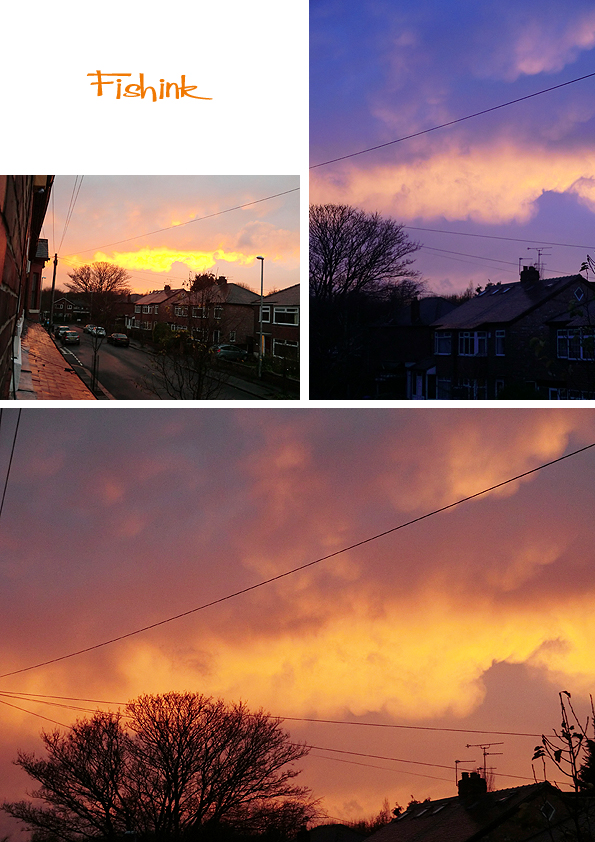 Fishinkblog Birthday 6943