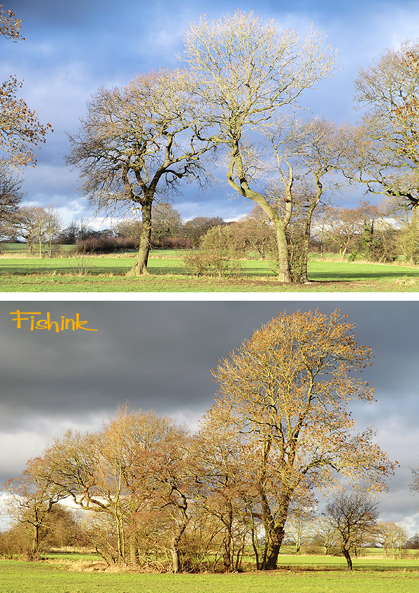 Fishinkblog Great Budworth 6941