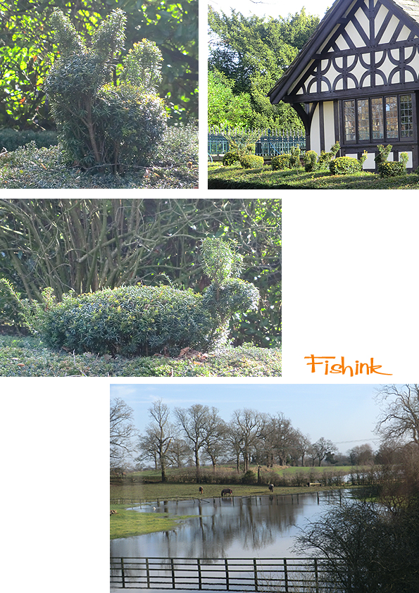 Fishinkblog 7115 Fishink in Tarporley 3