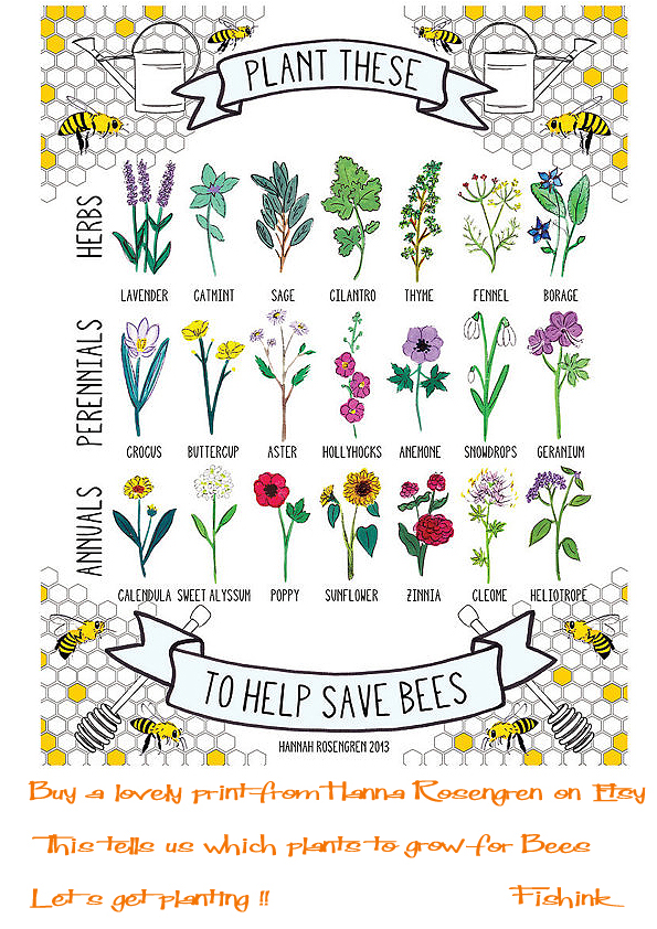 Fishinkblog 7147 Hannah Rosengren Bees