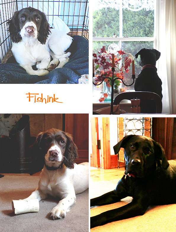 Fishinkblog 7334 Fishink Northumberland 1