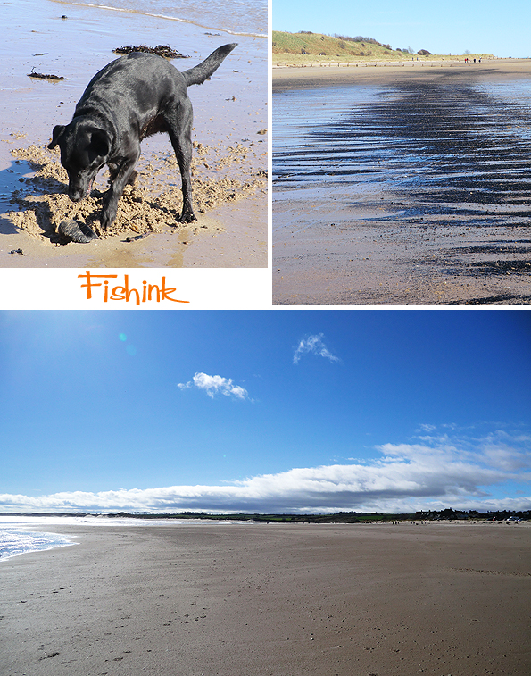 Fishinkblog 7340 Fishink Northumberland 7