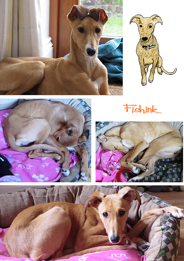 Fishinkblog 7404 Boo 4