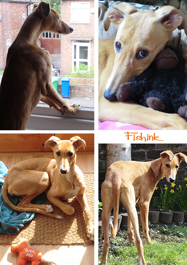 Fishinkblog 7406 Boo 6