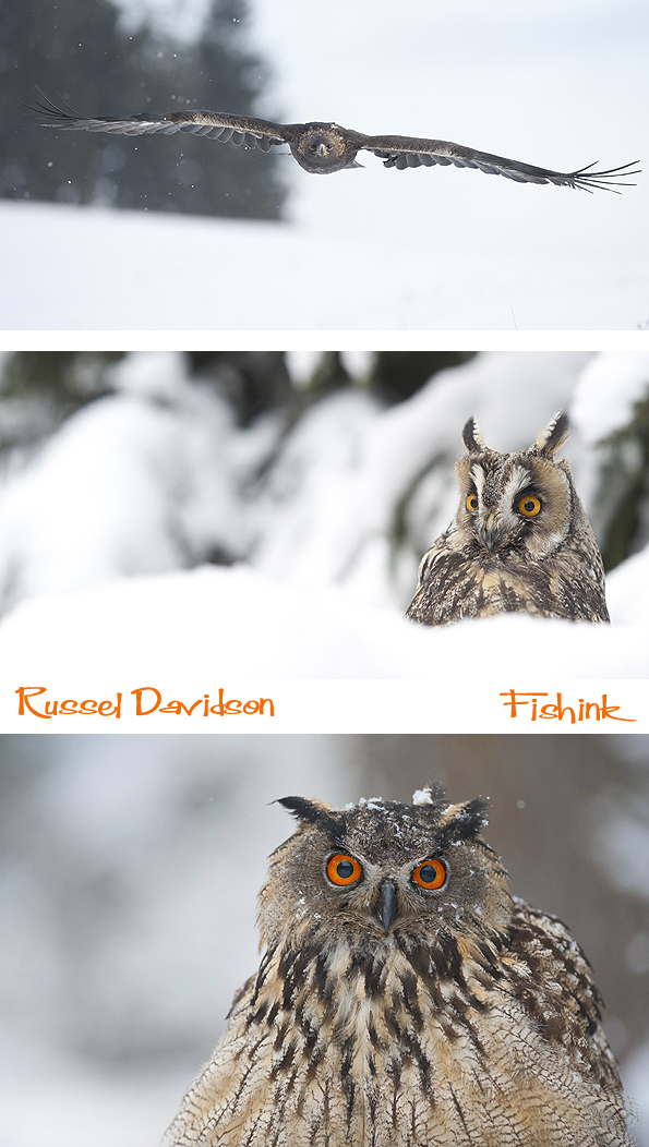 Fishinkblog 7492 Russel Davidson 7