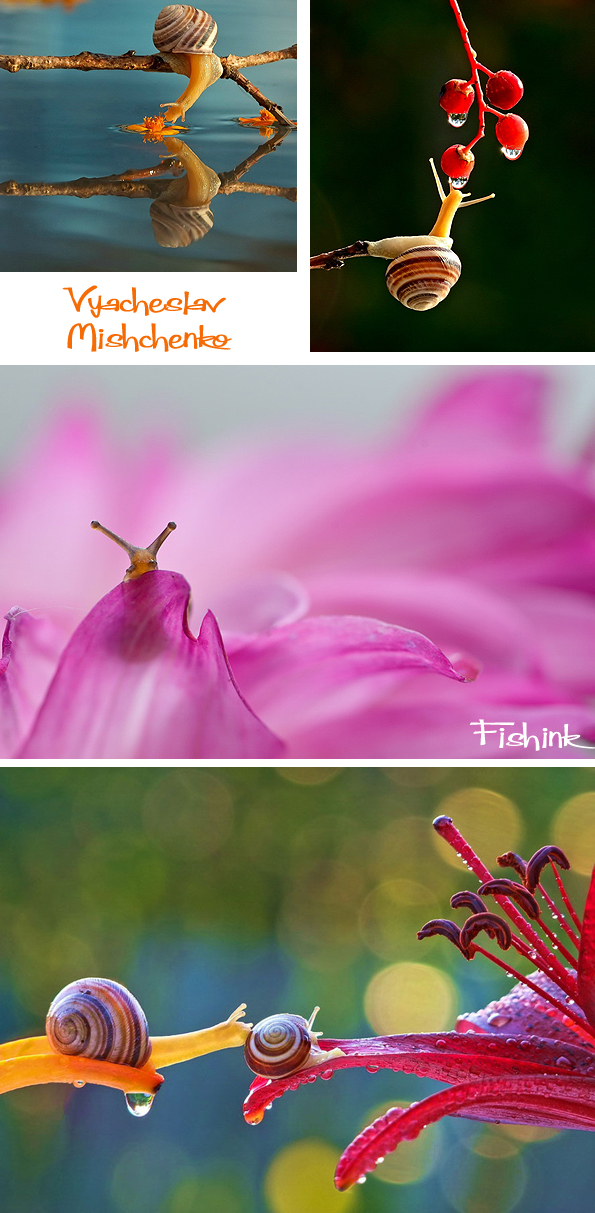 Fishinkblog 7496 Vyacheslav Mishchenko 3