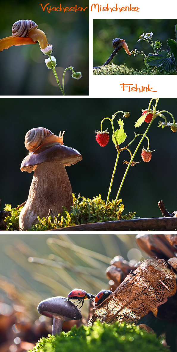 Fishinkblog 7498 Vyacheslav Mishchenko 5