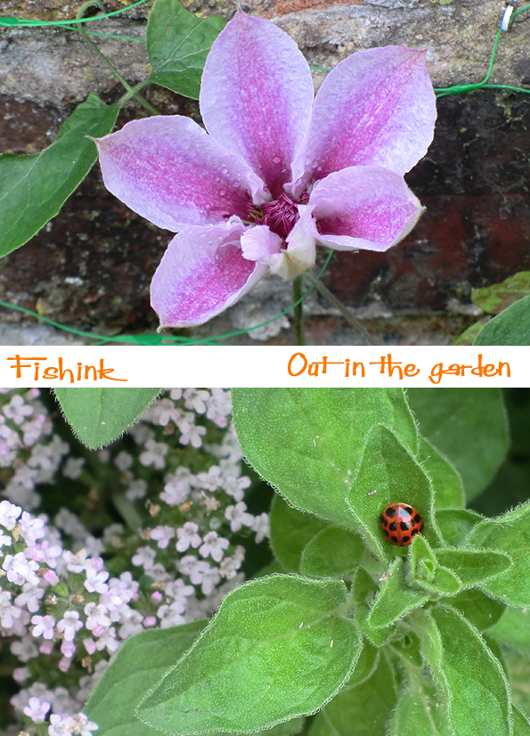 Fishinkblog 7631 Fishink 2