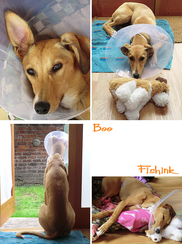 Fishinkblog 7632 Fishink 7