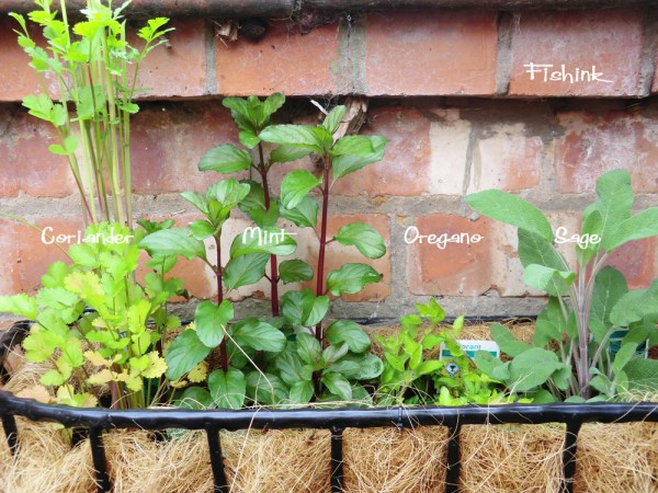 Fishinkblog 7632 Fishink 8