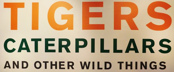 Fishinkblog 7763 MMU Special Collections 14