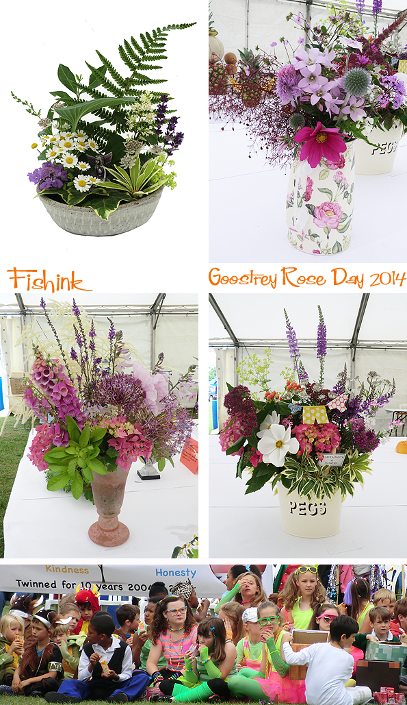 Fishinkblog 7779 Goostrey Rose Day 7