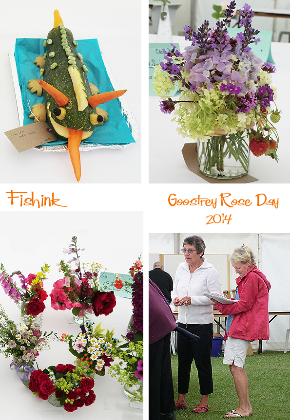 Fishinkblog 7782 Goostrey Rose Day 10