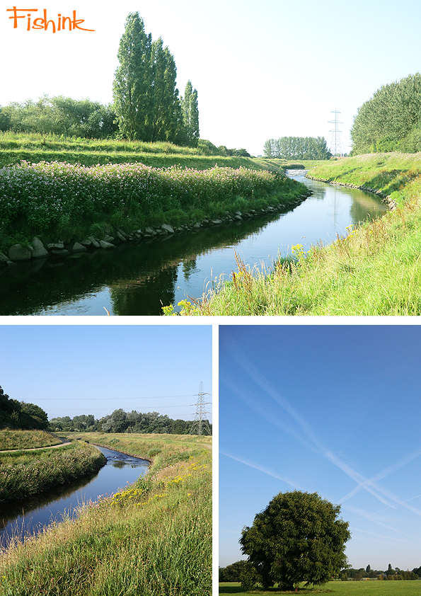 Fishinkblog 7876 Fishink Walks 1