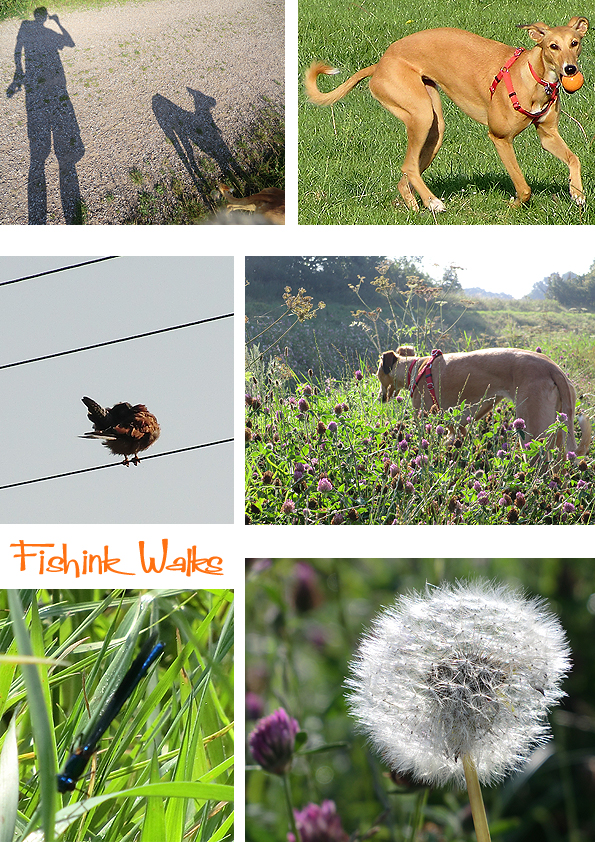 Fishinkblog 7878 Fishink Walks 3