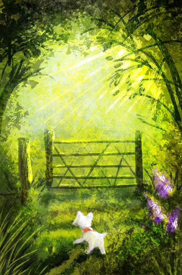 Fishinkblog 7880 Fishink Walks Craig Cameron 5